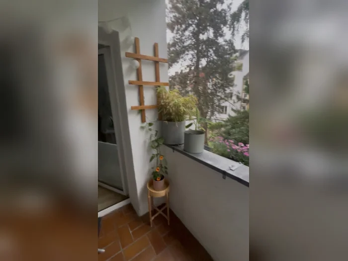 Vorschaubild 6