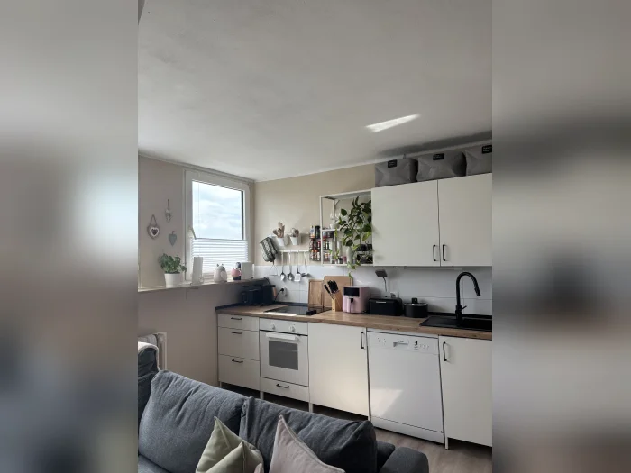 Vorschaubild 3