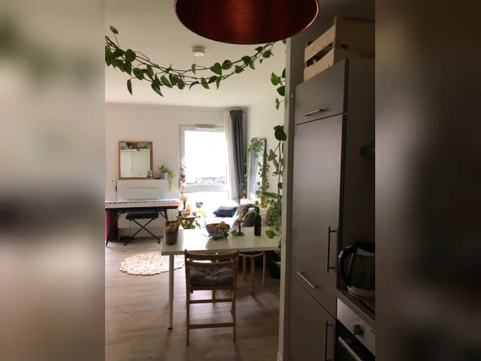 Vorschaubild 3