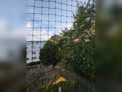 Vorschaubild 5