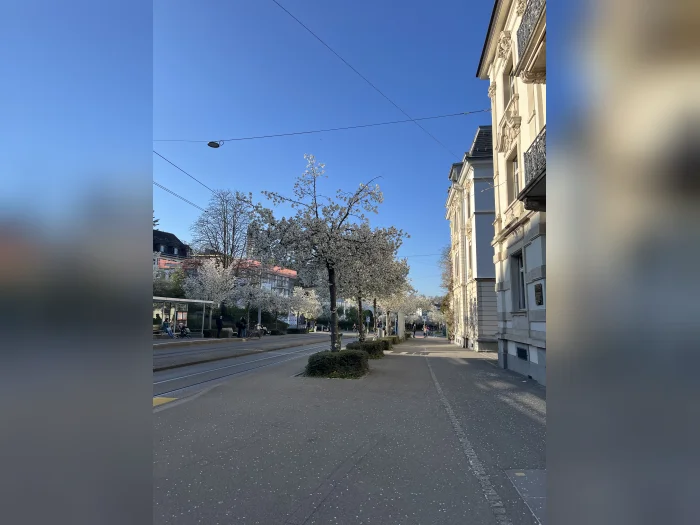 Vorschaubild 5