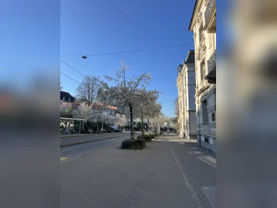 Vorschaubild 5