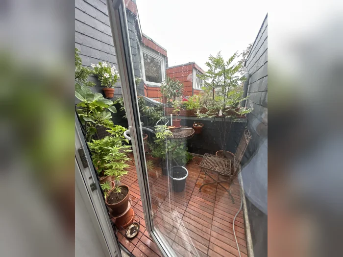 Vorschaubild 2