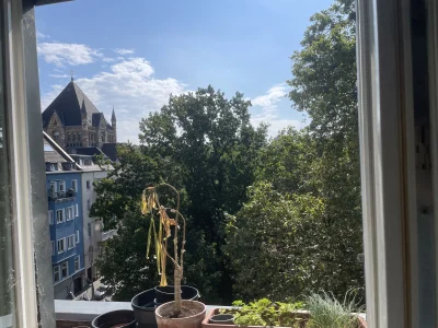 Vorschaubild 4