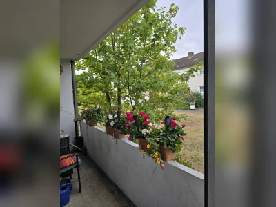 Vorschaubild 3