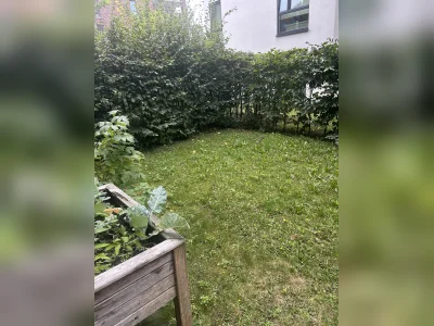 Vorschaubild 9
