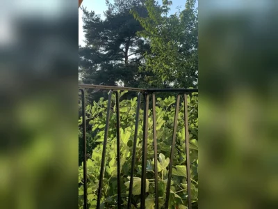 Vorschaubild 4