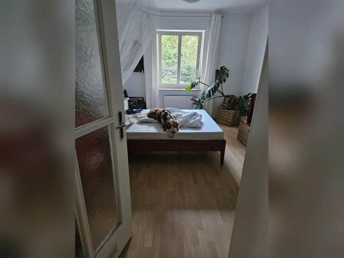 Vorschaubild 5