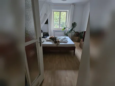 Vorschaubild 5