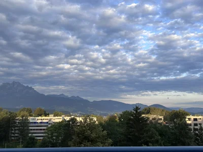 Vorschaubild 5