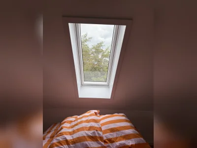 Vorschaubild 11