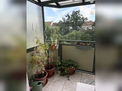 Vorschaubild 4
