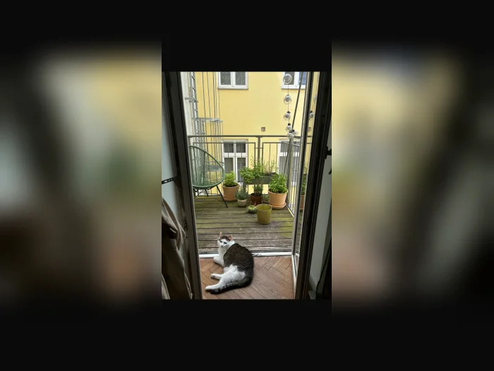 Vorschaubild 4