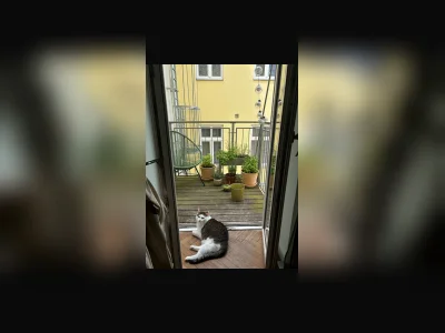 Vorschaubild 4
