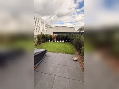 Vorschaubild 5
