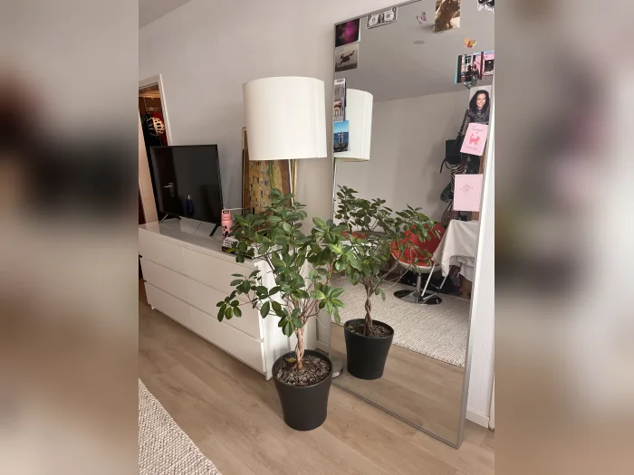 Vorschaubild 3