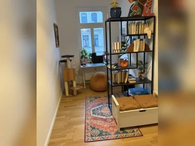 Vorschaubild 7