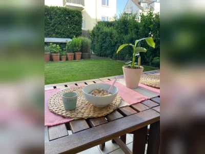 Vorschaubild 3