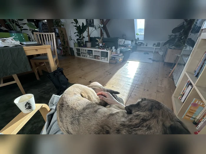 Vorschaubild 2