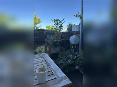 Vorschaubild 10