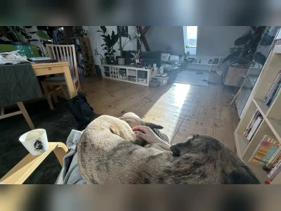 Vorschaubild 3