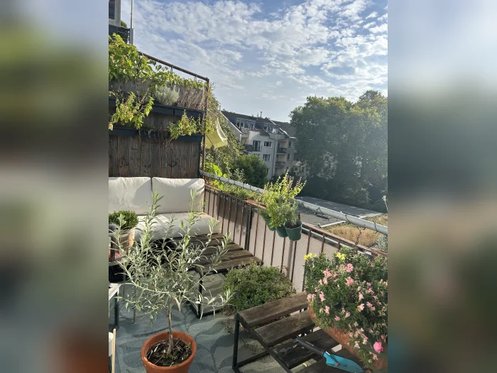 Vorschaubild 1
