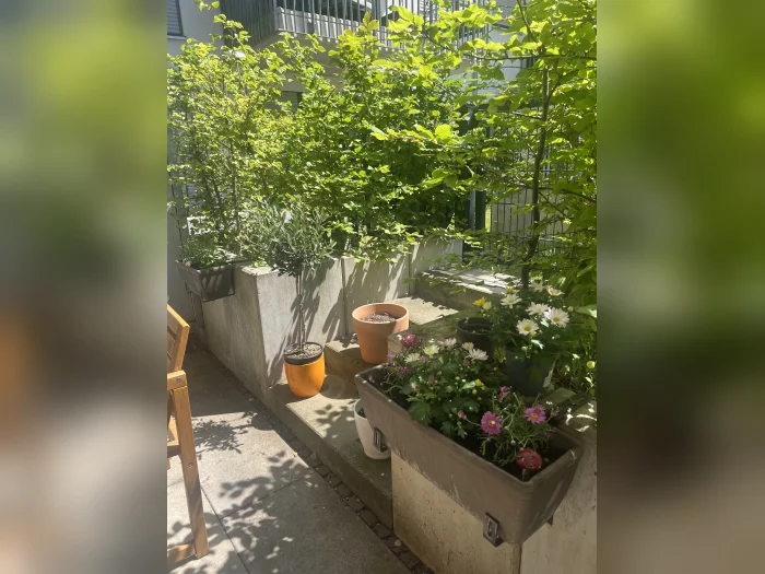 Vorschaubild 10