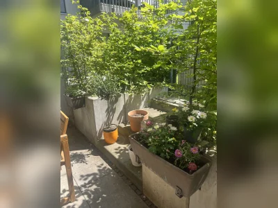 Vorschaubild 10