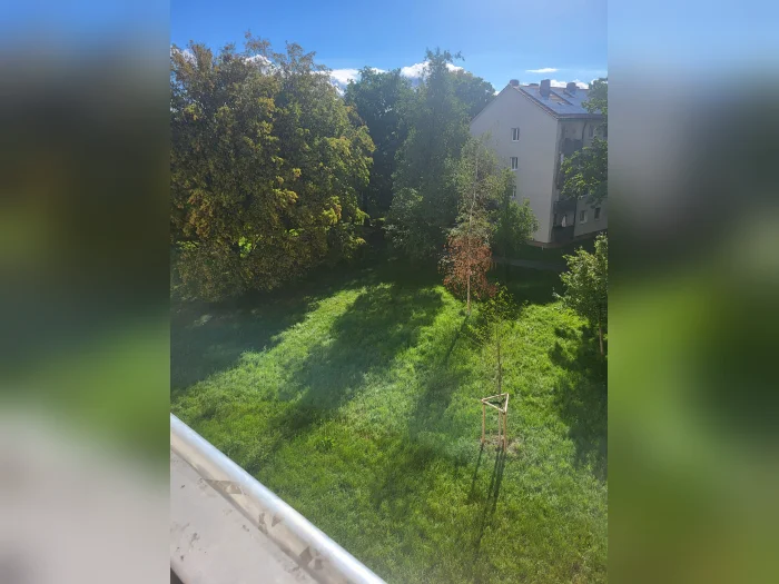 Vorschaubild 7
