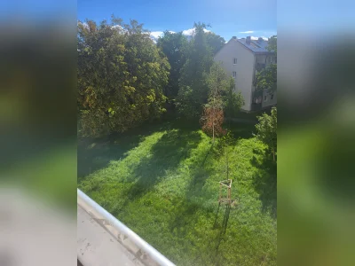 Vorschaubild 7