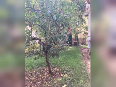 Vorschaubild 10