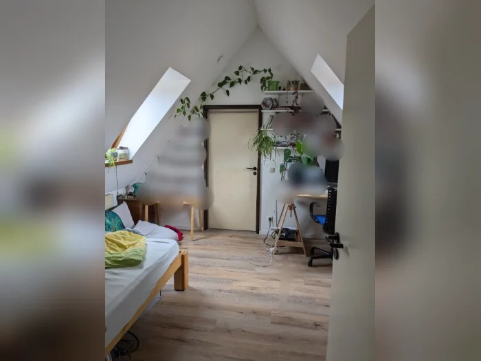 Vorschaubild 2