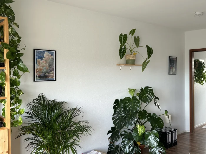 Vorschaubild 4