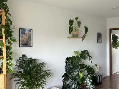 Vorschaubild 4