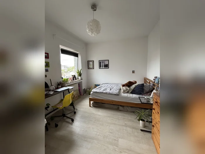Vorschaubild 1