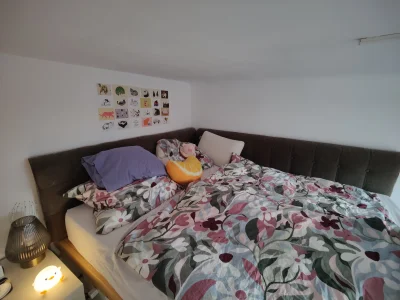 Vorschaubild 15