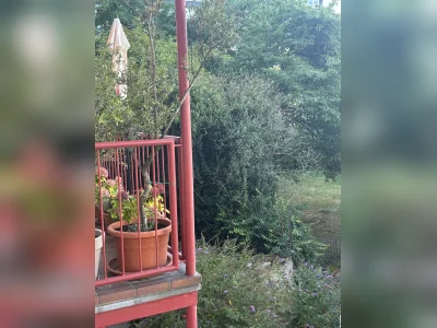 Vorschaubild 3