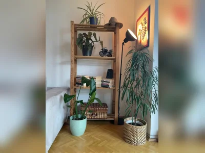 Vorschaubild 4