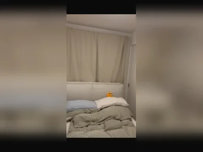 Vorschaubild 7