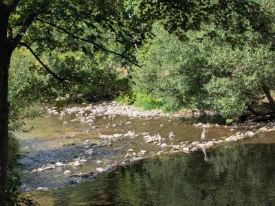 Vorschaubild 10