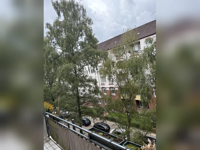 Vorschaubild 6