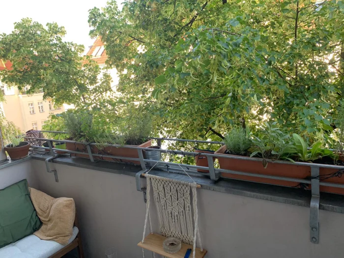 Vorschaubild 10