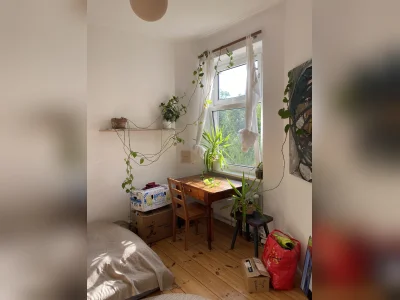 Vorschaubild 4
