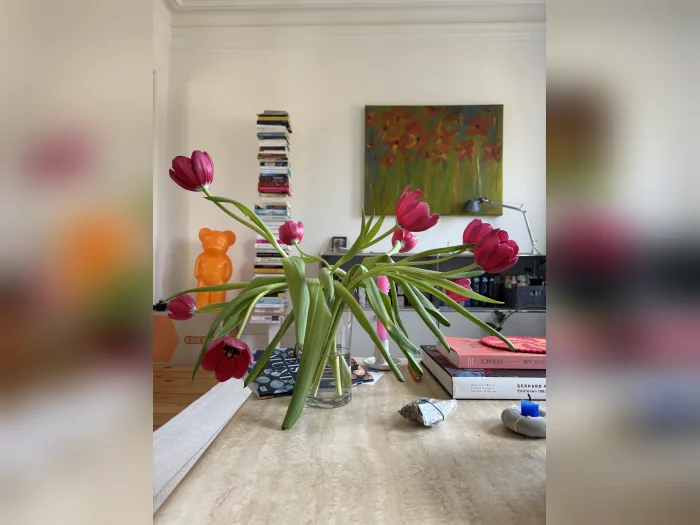 Vorschaubild 2