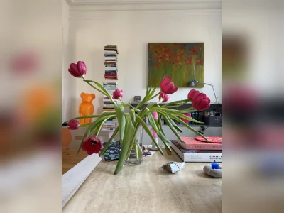 Vorschaubild 2