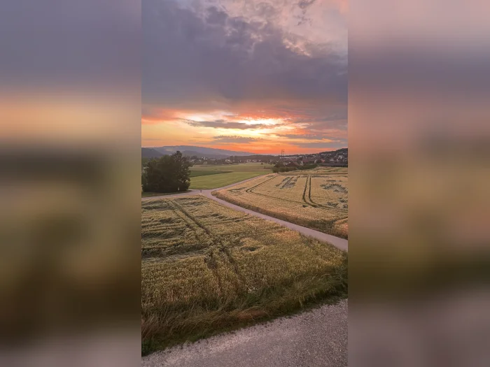 Vorschaubild 10