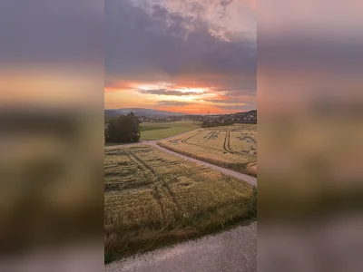 Vorschaubild 10