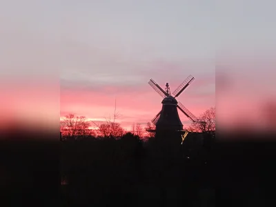 Vorschaubild 1
