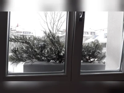 Vorschaubild 1
