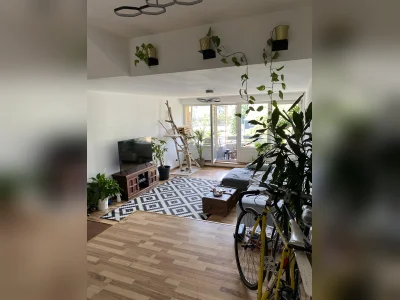 Vorschaubild 3
